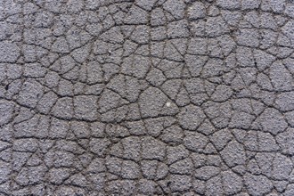 Asphalt surface, floor, with many small cracks, roadway, parking lot