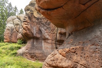 Kelchsteine natural monument near Oybin, Zittau Mountains, Upper Lusatia, Saxony, Germany