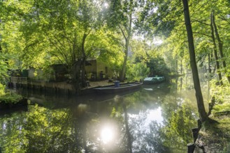 Canal or Spreewaldfließ in the Spreewald near Spreewalddorf Lehde, Lübbenau/Spreewald, Brandenburg,