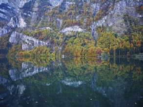 Autumn-colored forest is reflected in Lake Klöntal, Canton of Glarus, Switzerland