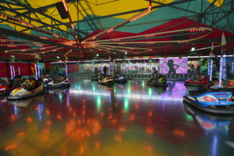 Bumper car, autodrome, bumper cars, boxing car, self-driver, fairground in Ulm Friedrichsau, public