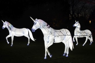 From November 29, 2025 to January 11, 2026, the palm garden and its partner World of Lights