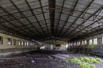 Abandoned hall with Grafity, dilapidated plant of a former agricultural production cooperative of