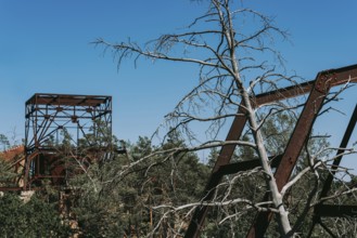 Ruins of the Women's Sanatorium, Lost Place, Heilstätten Beelitz, Brandenburg