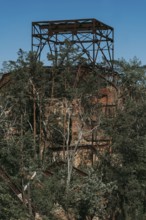 Ruins of the Women's Sanatorium, Lost Place, Heilstätten Beelitz, Brandenburg