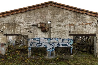 Dilapidated hall with gravity of the dilapidated plant of a former agricultural production