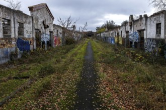 Dilapidated halls with gravity of the dilapidated plant of a former agricultural production