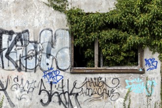 Grafity on an old house wall, dilapidated plant of a former agricultural production cooperative of