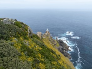 Cliffs and sea at Cape of Good Hope, Cape Point Lighthouse, Cape Peninsula, Cape Point Nature