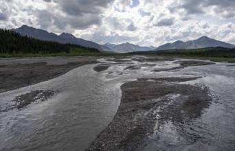 Taiga and tundra with Teklanika River, mountain scenery of the Alaska Range with dramatic cloudy