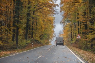 Federal road surrounded by mixed autumn forest, Gräfenberg, Upper Franconia, Bavaria, Germany