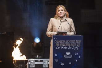Julia Klöckner (President of the German Bundestag) speaks at the lighting of lights to mark 20