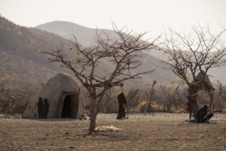 Himba huts, traditional Himba village in the savanna, arid countryside, Kaokoveld, Kunene, Namibia