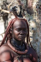 Himba woman, portrait, traditional Himba village, Kaokoveld, Kunene, Namibia