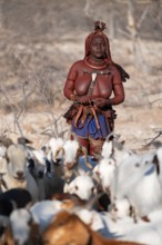 Himba woman taking care of goats, traditional Himba village, Kaokoveld, Kunene, Namibia