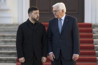 Volodymyr Selensky (President of Ukraine) and Frank-Walter Steinmeier (President of the Federal