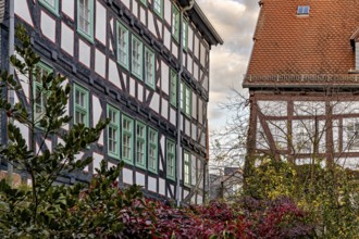Half-timbered houses with green shutters and autumn vegetation, The historic city center of Marburg