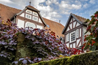 Half-timbered house with ivy and climbing plants against a cloudy sky, The historic city center of