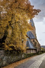 Towering church next to a tree with yellow autumn leaves on a cobblestone street, The Lutheran