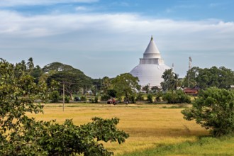 White stupa surrounded by trees and meadows under a blue sky with clouds, a dagoba in the rice