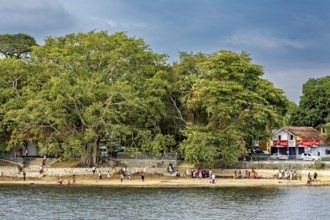 Big trees on the riverbank with houses behind them, people walking on a cloudy day, people at a