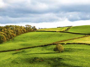 Colours of Devon Farms and Fields over Paignton and Berry Pomeroy from a drone, Totnes, England,