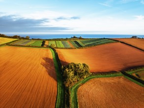 Colours of autumn Fields and Farms over Sheldon from a drone, Torbay, Devon, England, United