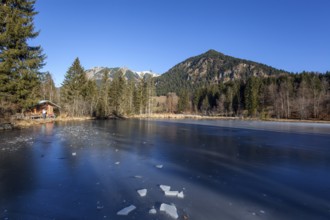 Moor, moor pond, icy, winter, behind Allgäu Alps, Oberstdorf, Oberallgäu, Allgäu, Bavaria, Germany