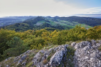 View from the Gisliflue of an autumnal forest with the Jura foothills behind, Talheim, Canton,