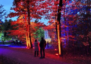 Illumination during the Herbstlichtgarten event in Sauerlandpark in the evening in Hemer,
