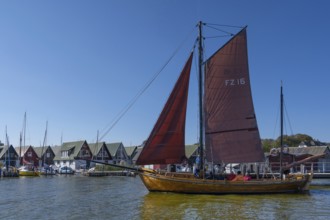 Zeesboot, former historic fishing boat, leaves the port of Ahrenshoop, blue sky, Darß,
