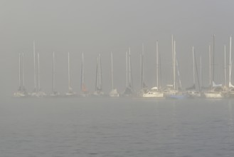 Hennesee, sailboats at boat dock in thick fog, Hennetalsperre, Sauerland-Rothaargebirge nature park
