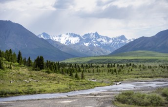 Savage River, tundra and mountainous landscape, Denali National Park, Alaska, USA