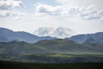 Tundra and glaciated peak of Denali or Mount McKinley, mountainous landscape, Denali National Park,