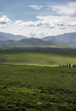 Tundra and glaciated peak of Denali or Mount McKinley, mountainous landscape, Denali National Park,