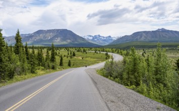 Road through Denali National Park, Taiga and Tundra with mountain scenery, Denali National Park,