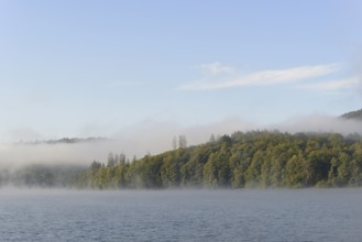 Hennesee, morning fog, blue sky, Hennetalsperre, Sauerland-Rothaargebirge nature park Park, North
