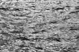 Water surface with waves and light reflections, black and white, Möhnesee, Möhnetalsperre, North