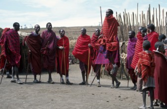 Maasai men showing traditional jumps, Ngorongoro Crater, Tanzania, Africa, June 2000, vintage,