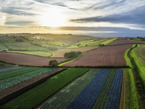 Colours of autumn Fields and Farms over Sheldon from a drone, Torbay, Devon, England, United