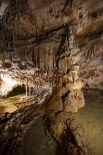 Stalactites and stalagmites, rock formations in a stalactite cave, Grotta del Fico, Gulf of Orosei,