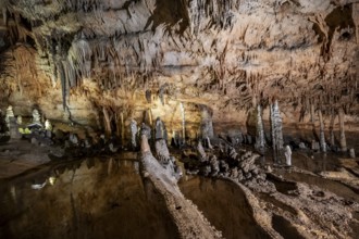 Stalactites and stalagmites, rock formations in a stalactite cave with water basin, Grotta del