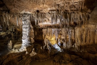 Stalactites and stalagmites, rock formations in a stalactite cave, Grotta del Fico, Gulf of Orosei,