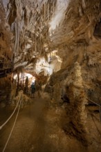 Stalactites and stalagmites, rock formations in a stalactite cave, Grotta del Fico, Gulf of Orosei,