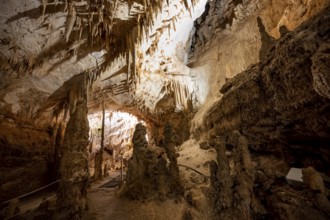 Stalactites and stalagmites, rock formations in a stalactite cave, Grotta del Fico, Gulf of Orosei,