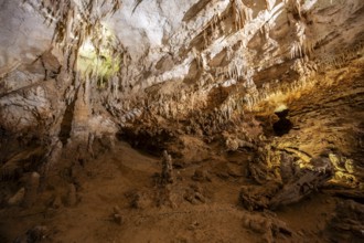 Stalactites and stalagmites, rock formations in a stalactite cave, Grotta del Fico, Gulf of Orosei,