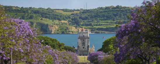 Scenic view of Belem Tower in Lisbon, Portugal, seen over a street with blooming purple jacaranda
