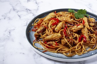 Udon noodles, with squid and vegetables, on a marble table, homemade, no people
