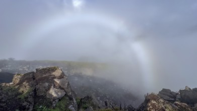 Fog thins, halo, ring of light, atmospheric phenomenon, mountains, Madeira, Portugal