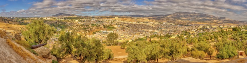 Extensive view of an urban landscape with olive trees and hills, Morocco, Fez, panorama